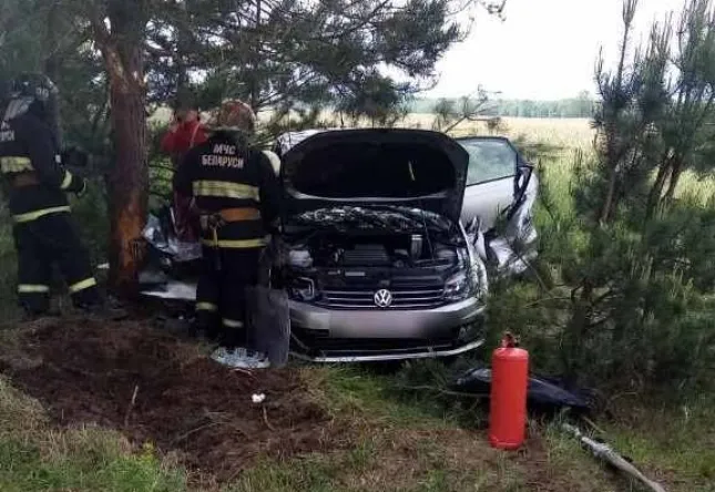 В Петриковском районе столкнулись легковой и грузовой автомобили: понадобилась помощь спасателей